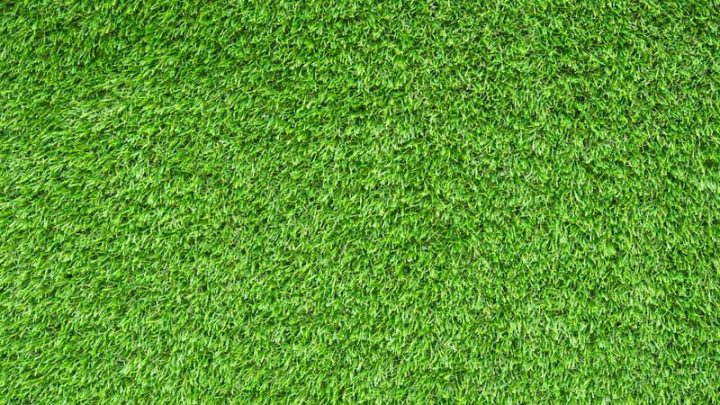 Jardines sin mantenimiento por qué el césped artificial gana terreno en Valencia